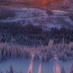 Meet your Posher, Mia